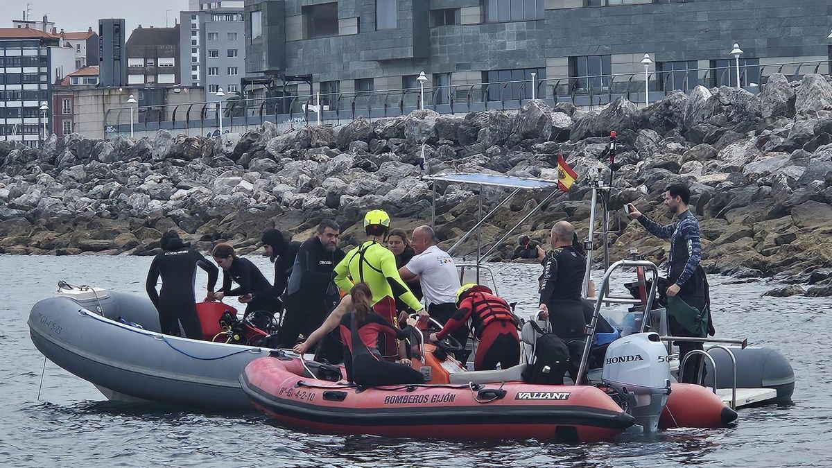 Reintroducción de tiburones pintarroja en la Playa de Poniente de Gijón