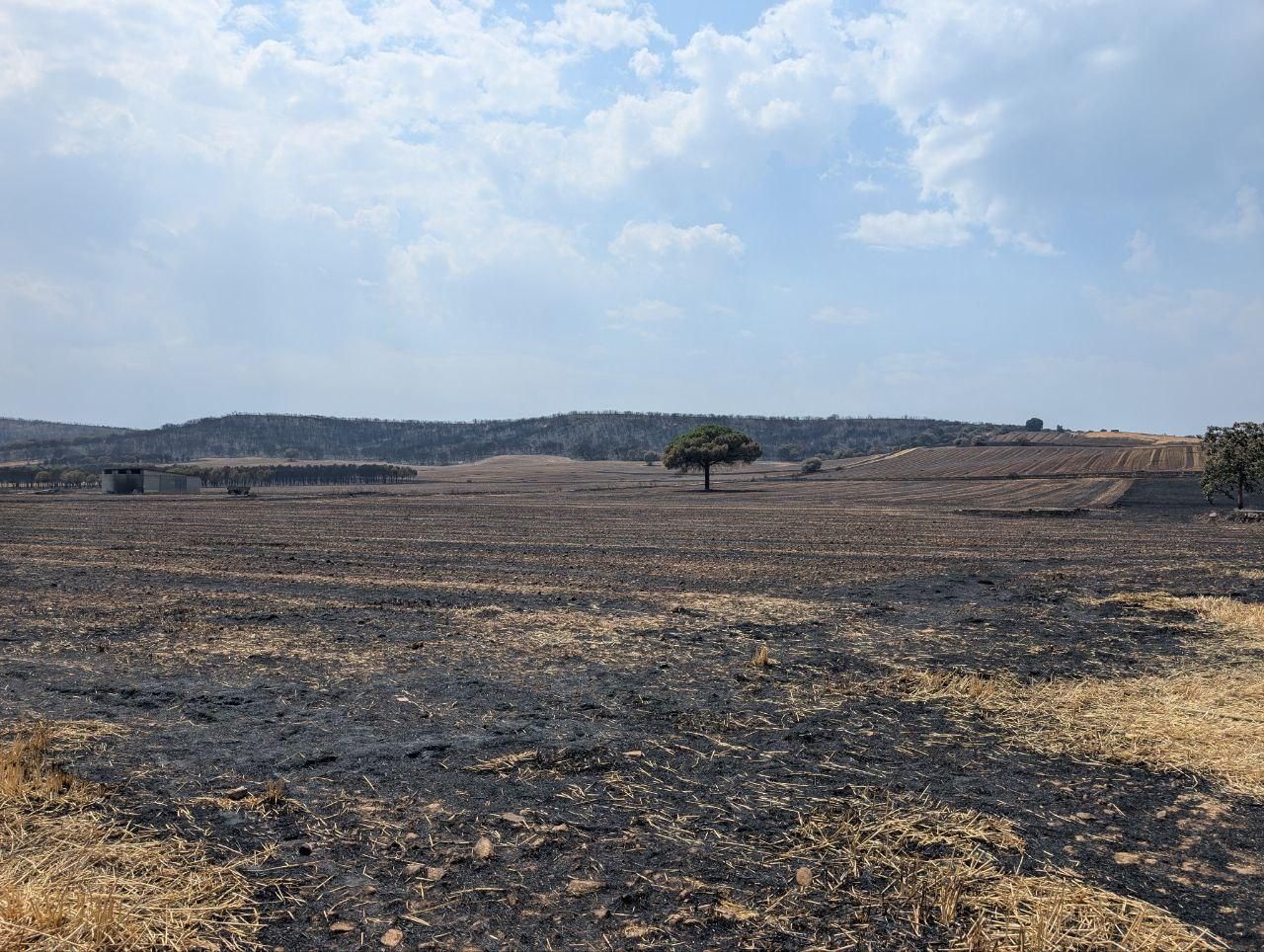 Campos y monte de Genestacio de la Vega arrasados por el fuego