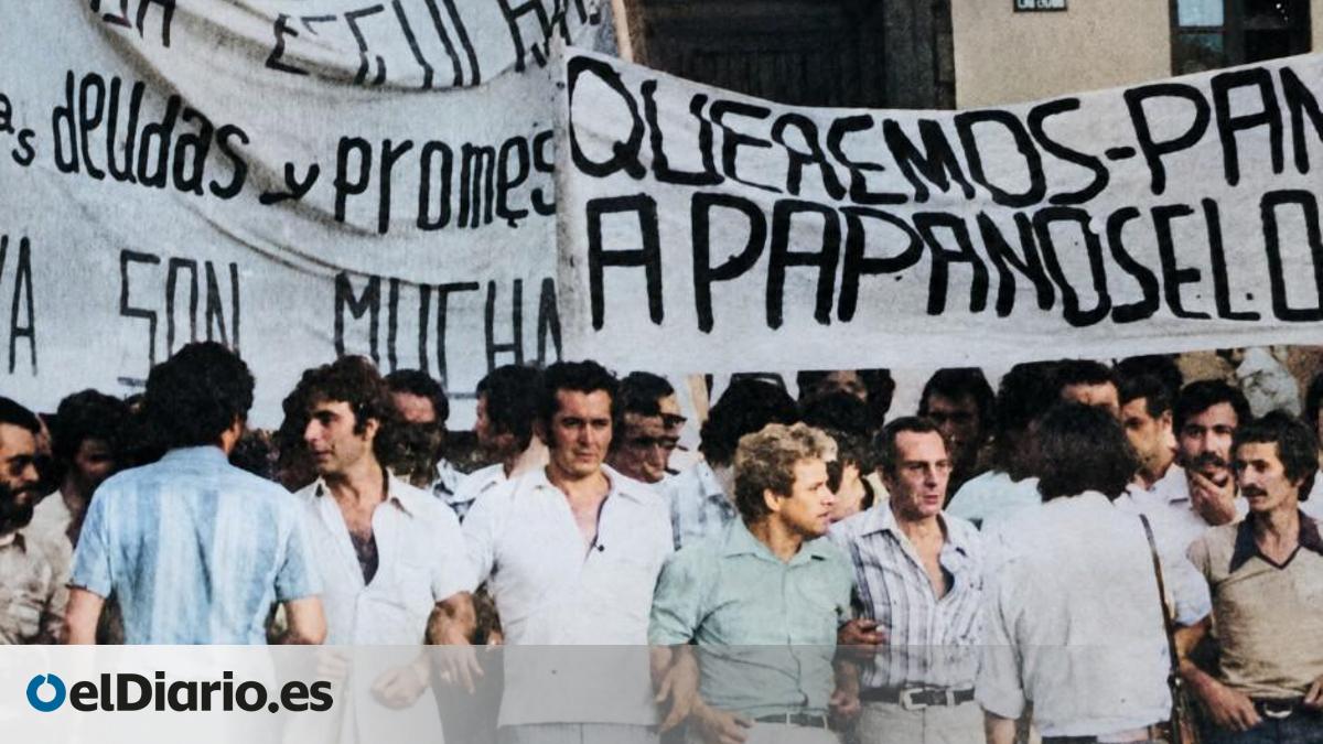 Cincuenta años de la primera huelga legal en Canarias: Cesea, 9 de agosto de 1976