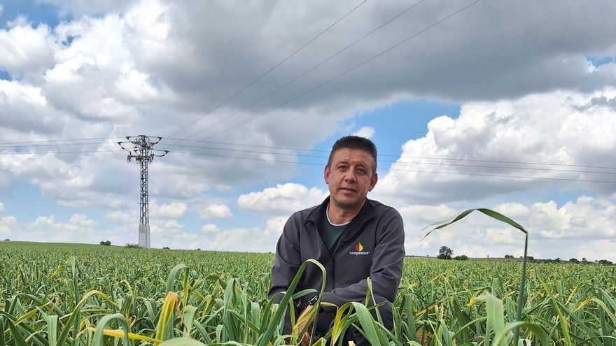 El nuevo presidente de la Mesa del Ajo: “El sector está en crisis por falta de agua y herramientas o el exceso de burocracia”