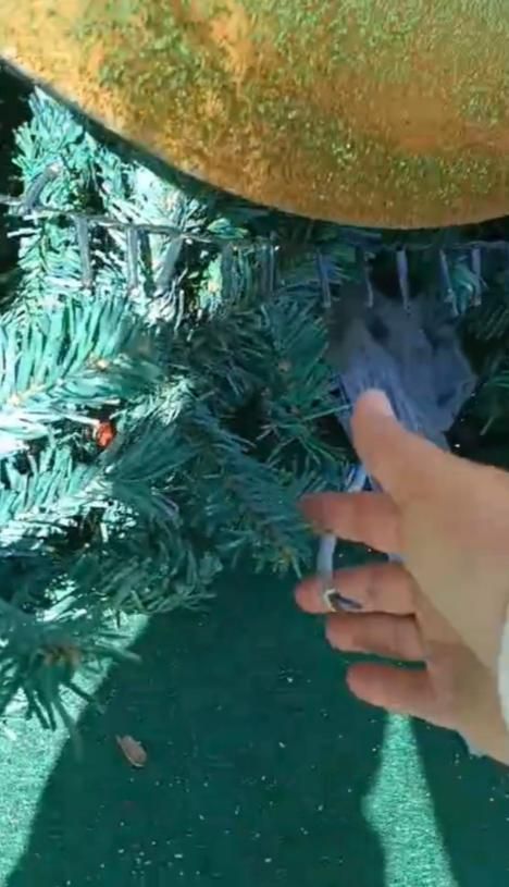 Acto vandálico en el cableado de la decoración navideña del parque de Lomo Blanco.