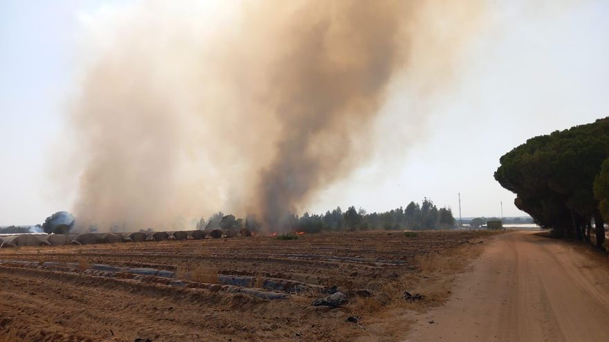 Incendio declarado en el paraje Los Vuelos de Lucena del Puerto (Huelva).