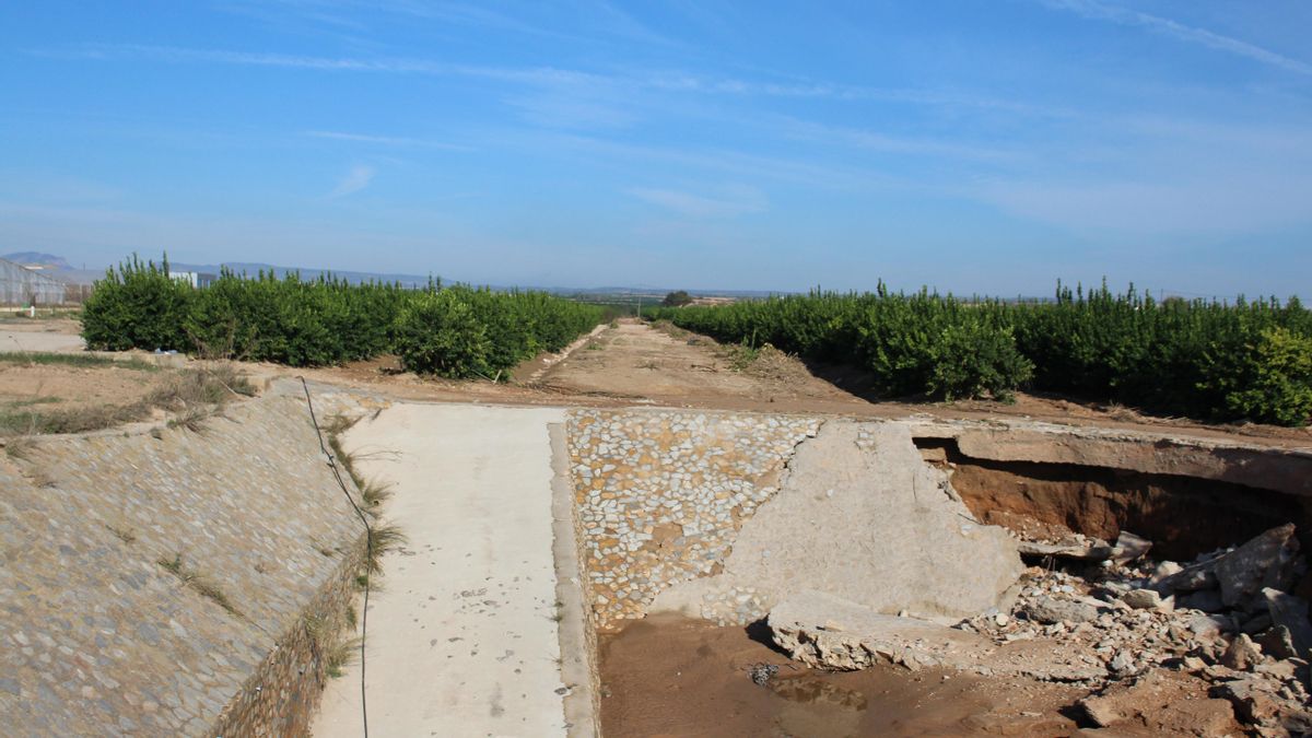 Este tramo de la rambla se encuentra desde 2021 estrechado por una finca de limoneros, lo que provoca que el agua tenga menos espacio, suba el nivel y aumente las posibilidades de inundación.