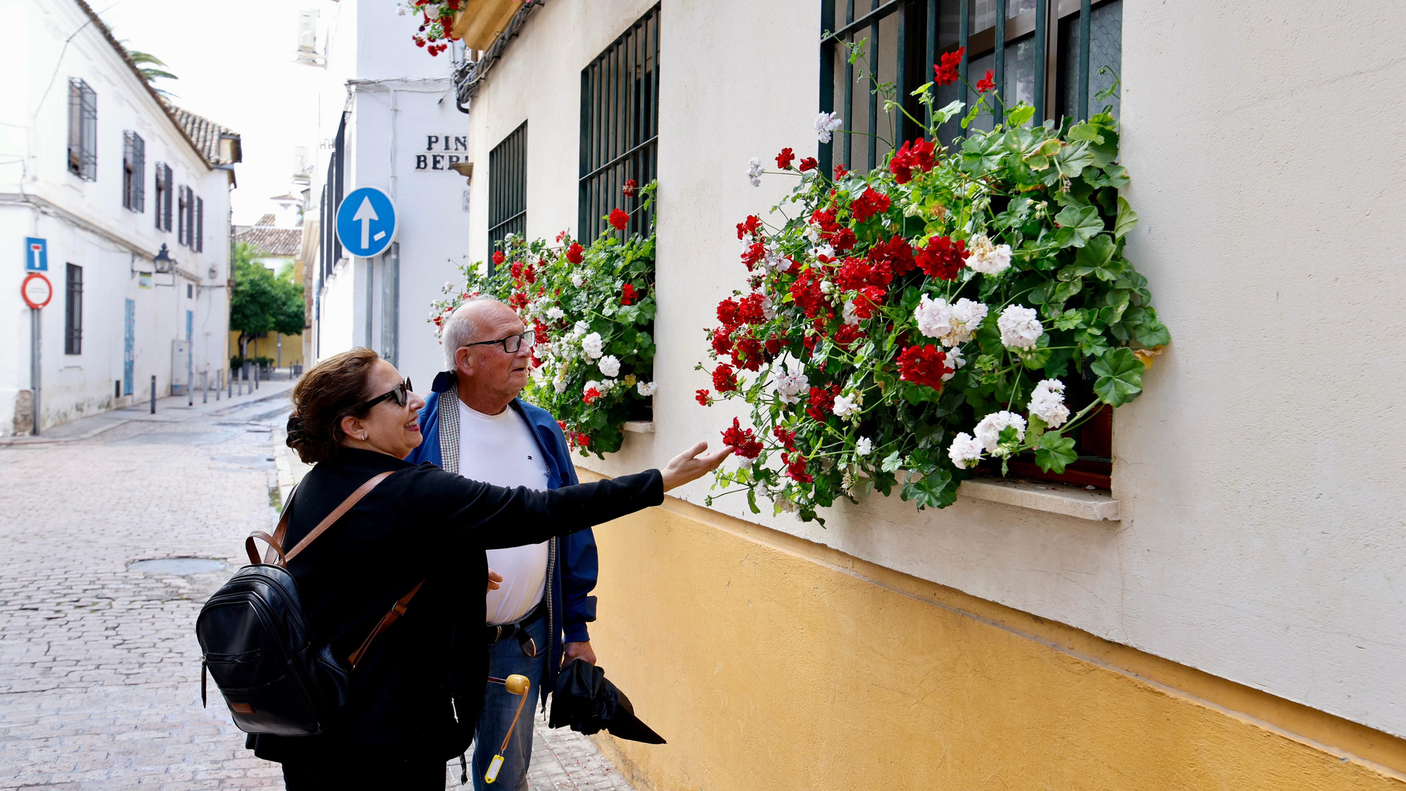 Primer premio de Rejas y Balcones en Fernán Pérez de Oliva, 7