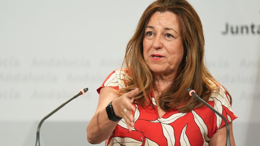 Archivo - La consejera de Desarrollo Educativo y Formación Profesional, María del Carmen Castillo, durante una rueda de prensa. Imagen de archivo.