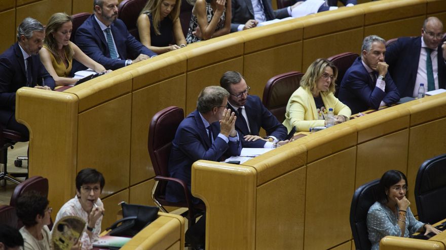 El presidente del Partido Popular, Alberto Núñez Feijóo (i) y el portavoz del Partido Popular en el Senado, Javier Maroto (d), durante un debate.