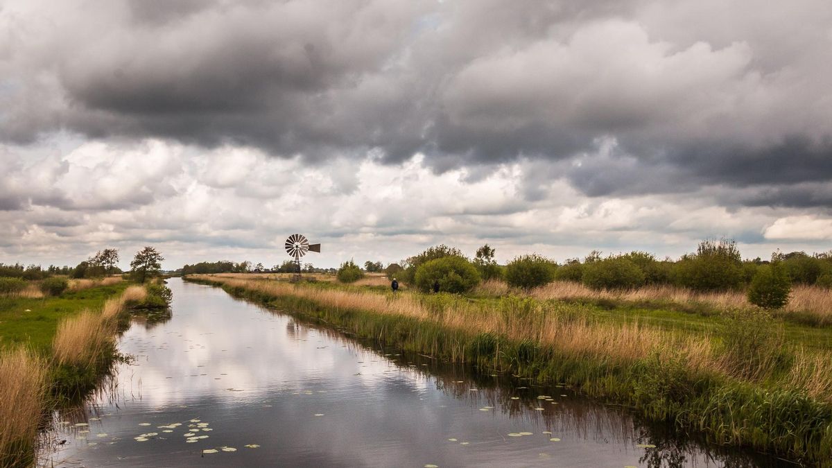 Canales entre los juncos en el Parque Nacional de Alde Feanen.