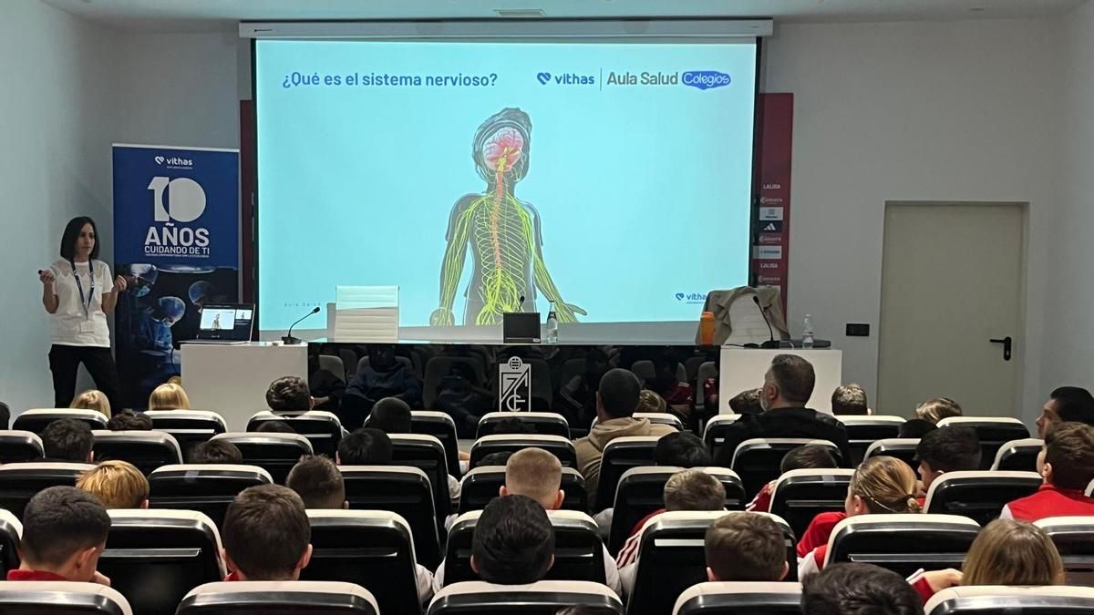 Profesora explica el sistema nervioso a alumnos.