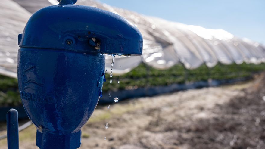 Boca de riego en una finca del cultivo de fresas ubicada en la zona de regadío al norte de la Corona Forestal de Doñana, en el término municipal de Lucena del Puerto (Huelva), en una fotografía de archivo. EFE/Julián Pérez