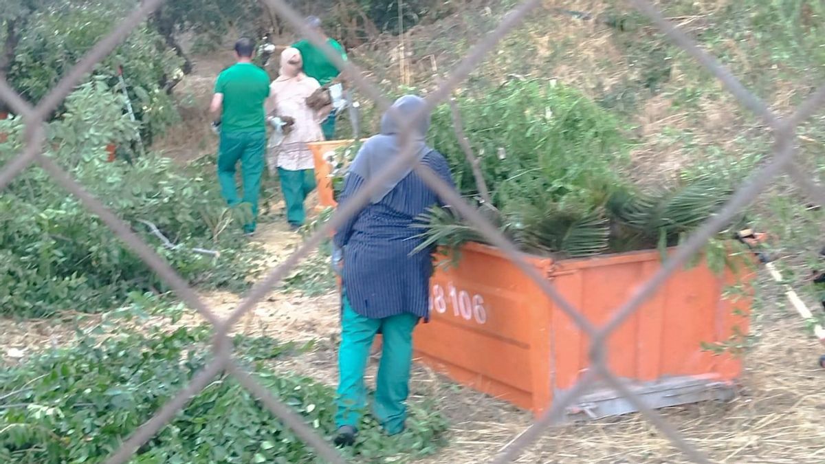 Trabajadores del Plan de Empleo Municipal en Toledo