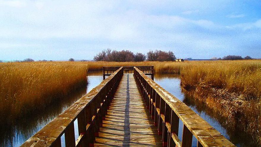 Cuando Murcia afirma que sin el trasvase Tajo-Segura “no existirían” las Tablas de Daimiel