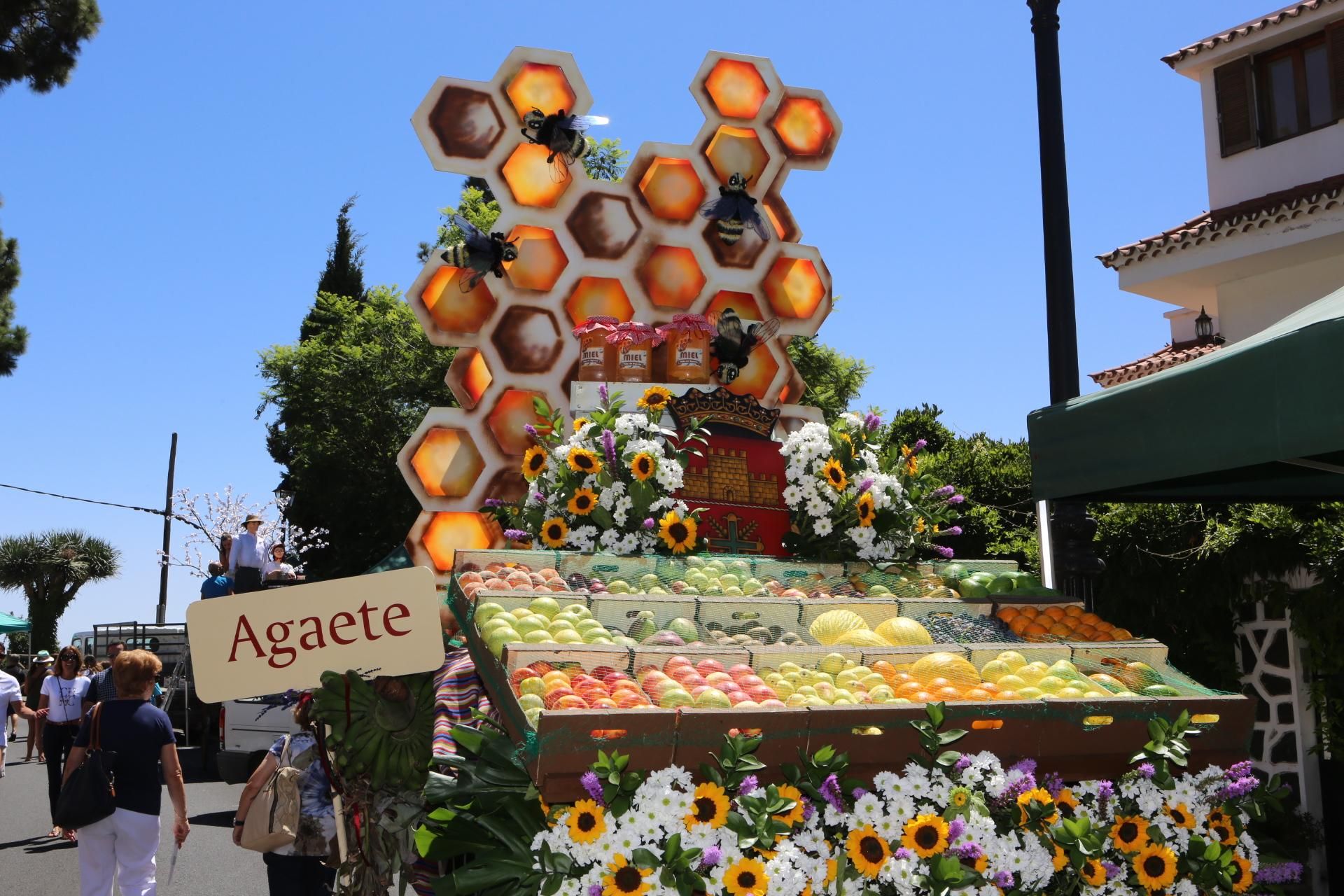 Fiestas del Pino (Alejandro Ramos)