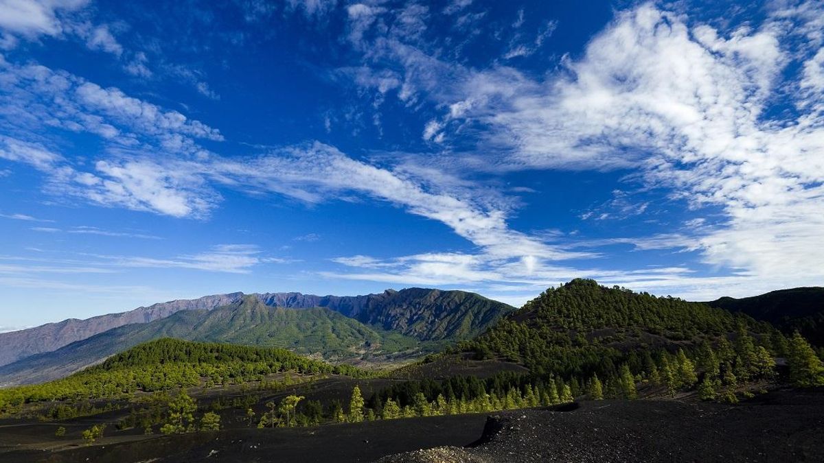 El Cabildo activa el Plan de Emergencias por las alertas de vientos y fenómenos costeros desde este viernes