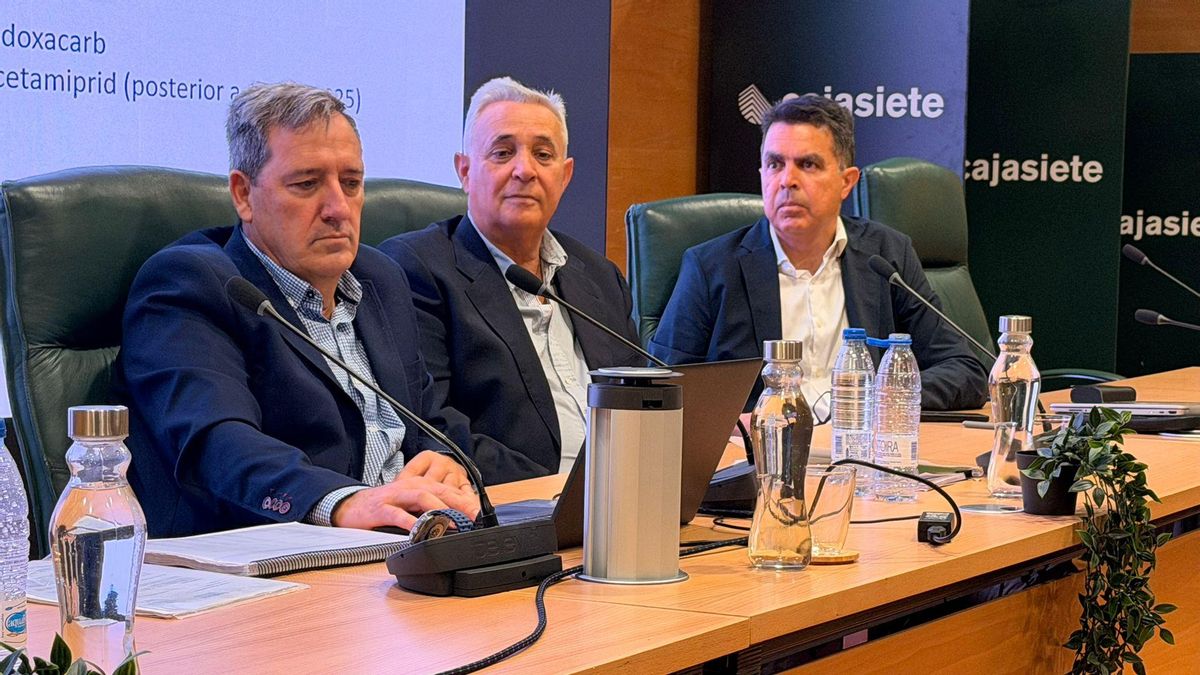 Coplaca presenta resultados: facturó 161 millones de euros en 2025