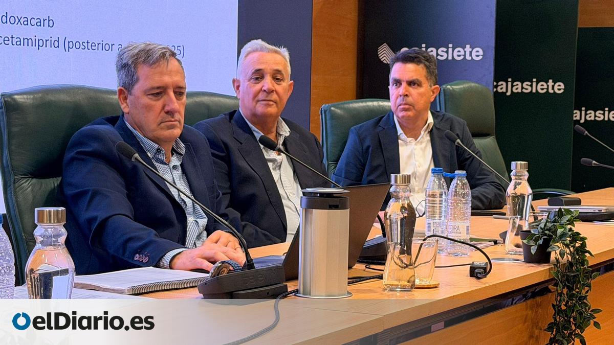 Coplaca presenta resultados: facturó 161 millones de euros en 2025
