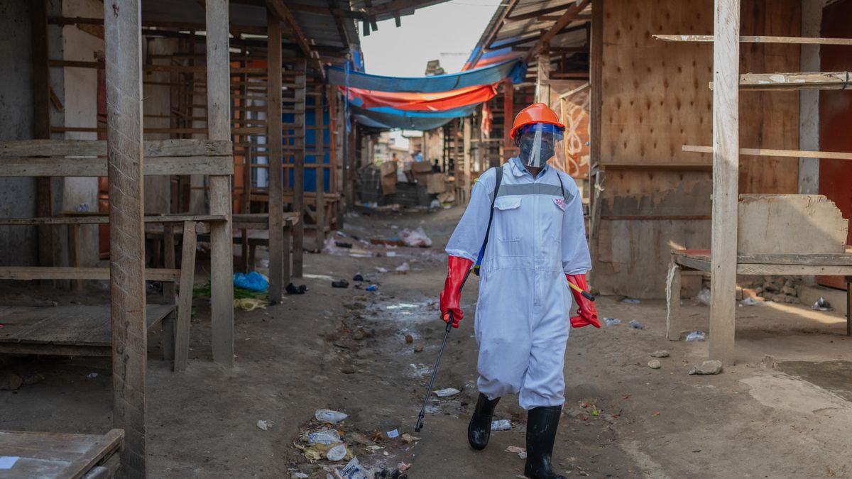 "Se necesita apoyo regional y global con urgencia": alarma por la rápida propagación del ébola en el Congo