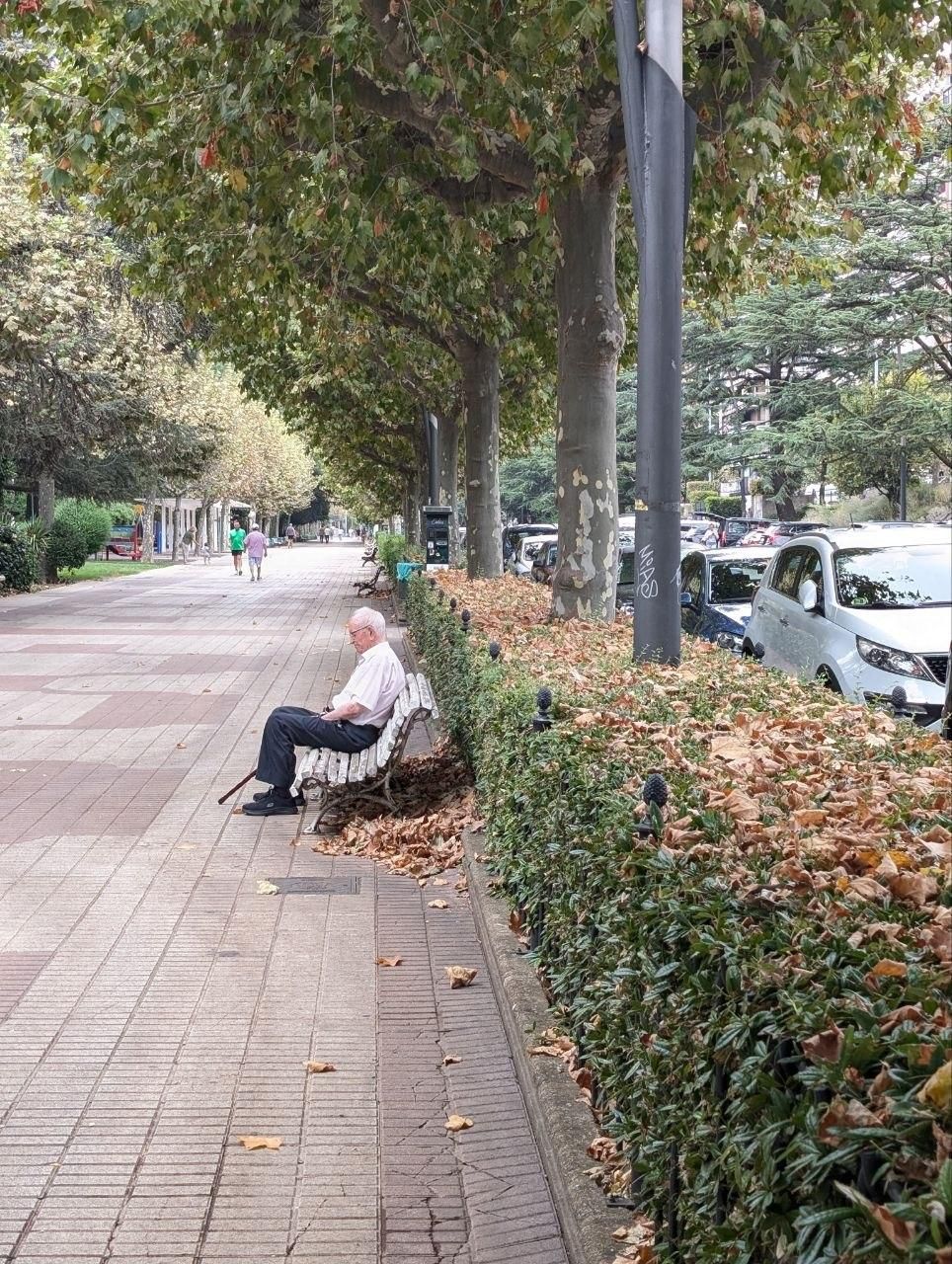 El llamativo otoño en pleno verano que se el clima acelera en el paisaje urbano de León