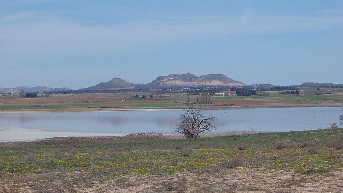 Nuevo freno local al biogás: Chinchilla de Montearagón suspende las licencias para instalaciones de plantas