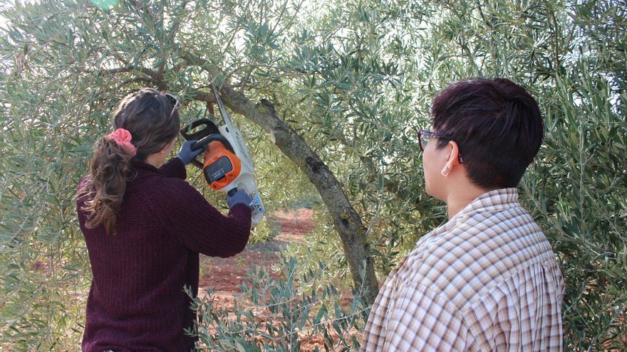 Jóvenes agricultores con ganas de aprender vienen a hacer prácticas a explotaciones de Castilla-La Mancha