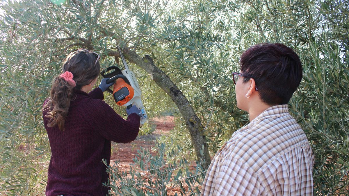 Jóvenes agricultores con ganas de aprender vienen a hacer prácticas a explotaciones de Castilla-La Mancha