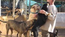 Sociedad Protectora de Animales y Plantas de Ayamonte (Huelva)