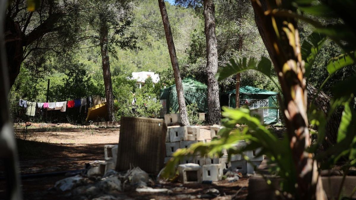 Tiendas de campaña entre la vegetación de la finca.