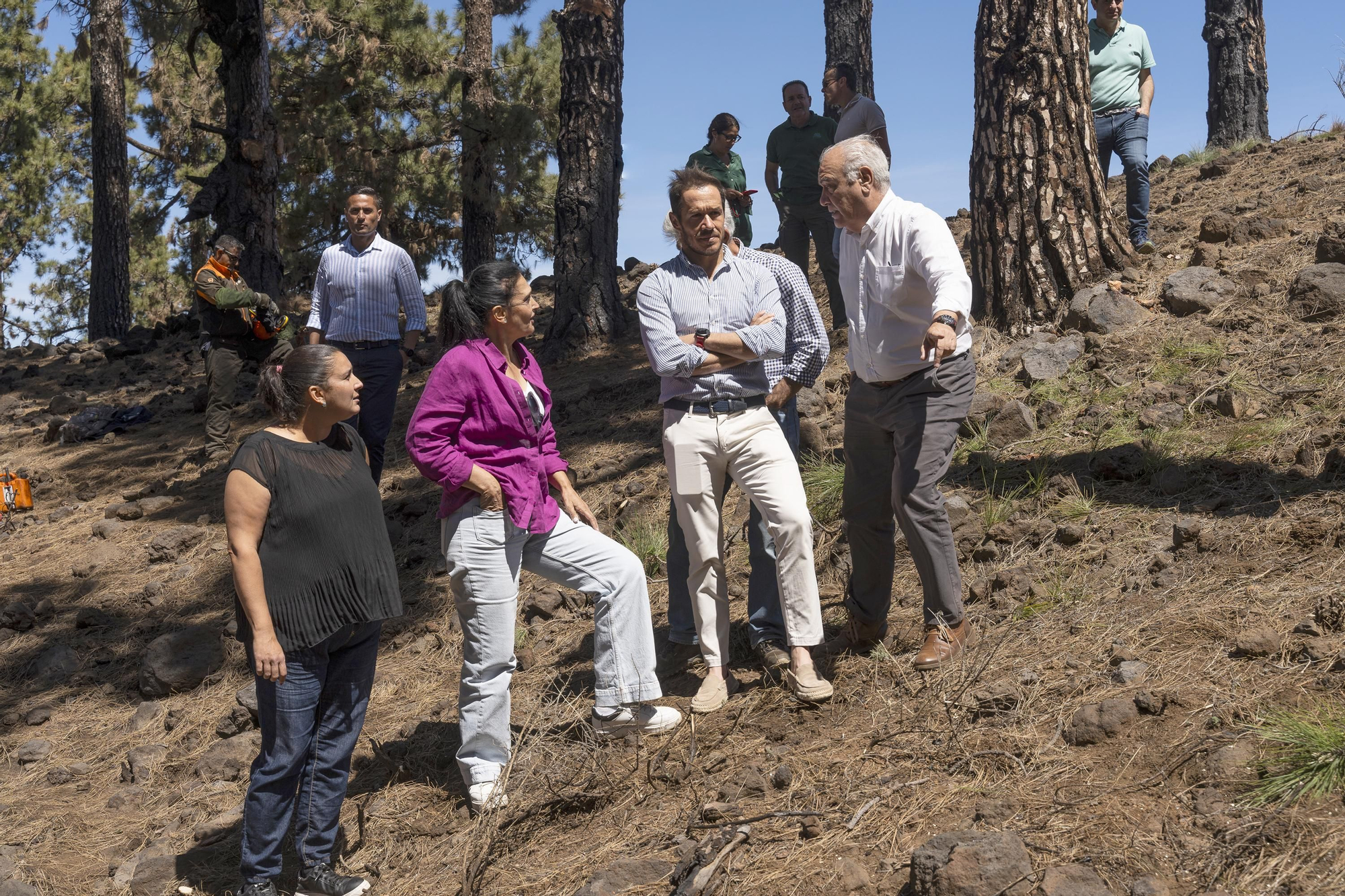 Visita a los trabajos de restauración de las zonas afectadas por el incendio que tuvo lugar el pasado mes de julio en Puntagorda, Tijarafe y El Paso.