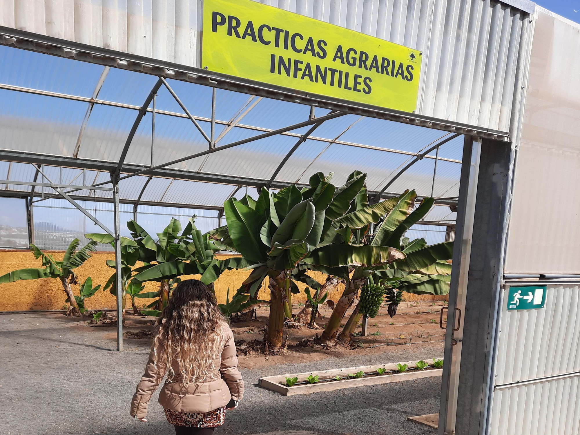 En este invernadero los escalores hacen prácticas agrícolas