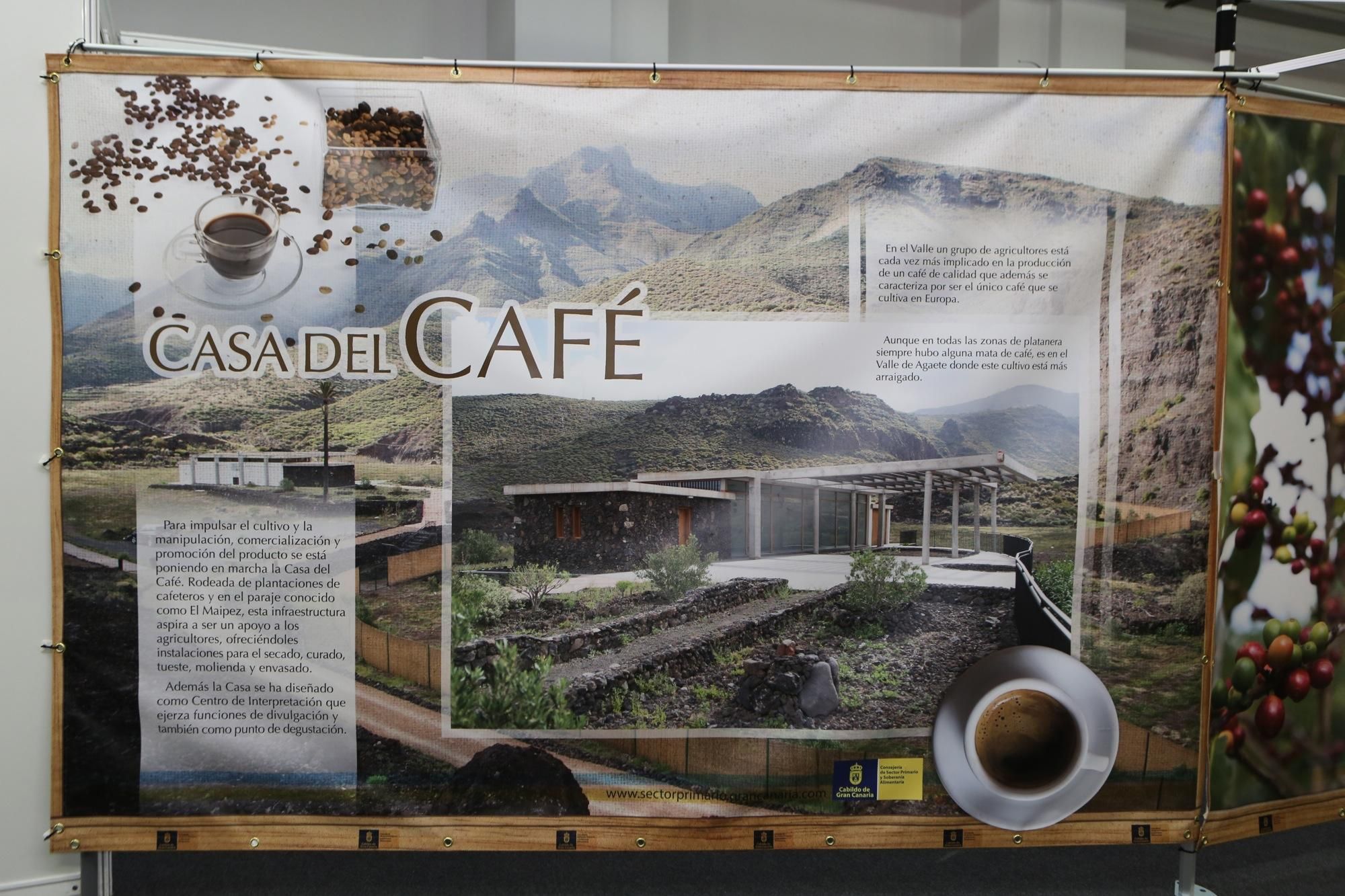 Feria Gran Canaria Me Gusta en Infecar (Las Palmas de Gran Canaria). Alejandro Ramos.