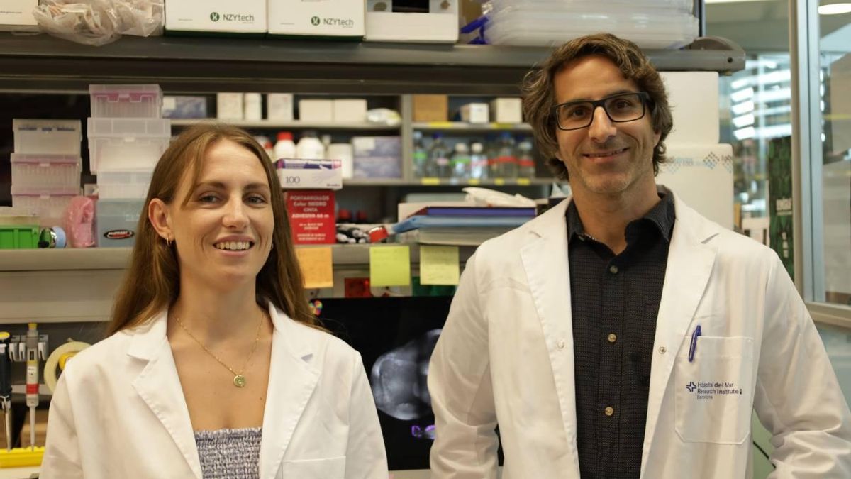 Españoles identifican una nueva diana para evitar la metástasis en cáncer de mama