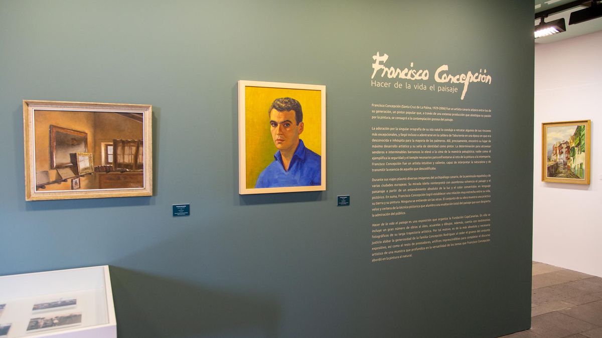 Imagen de la exposición 'Francisco Concepció. Hacer de la vida el paisaje'.