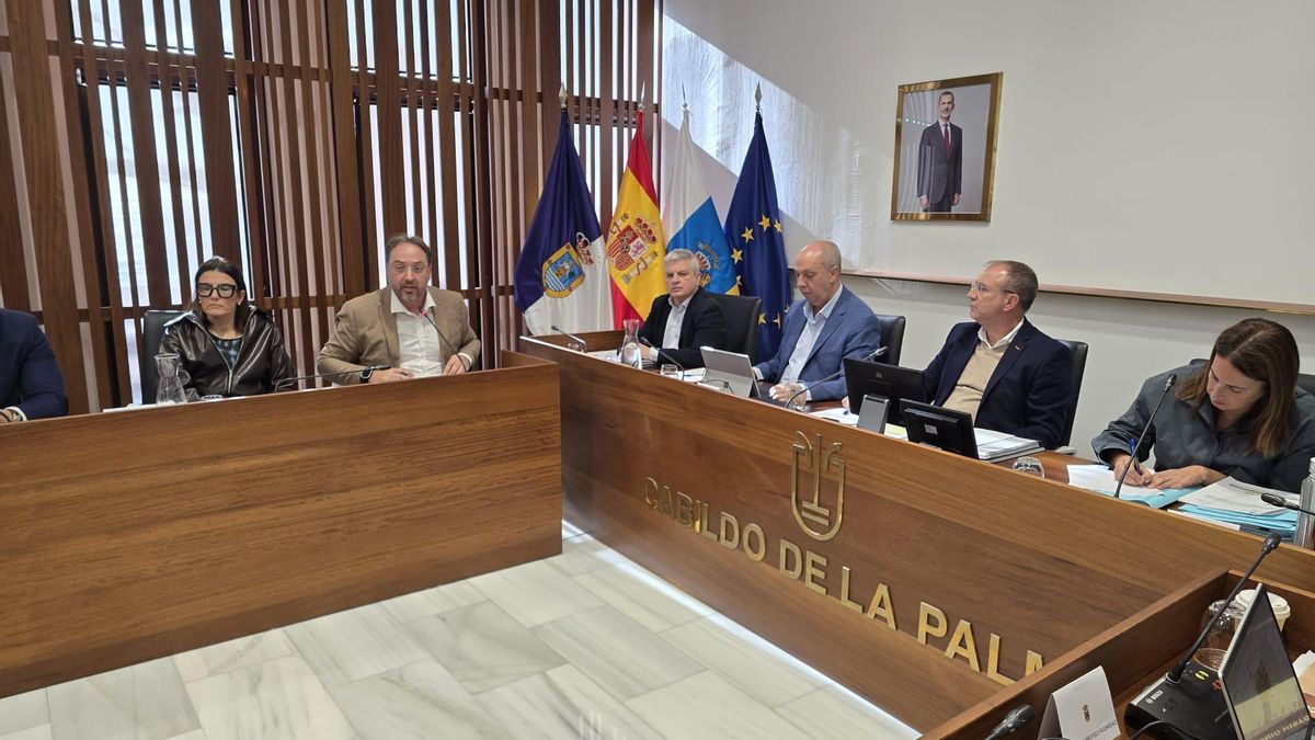 Coalición Canaria defiende la “valentía” del Presupuesto del Cabildo “frente a los recortes propuestos por la oposición en carreteras, emergencias y acción social”