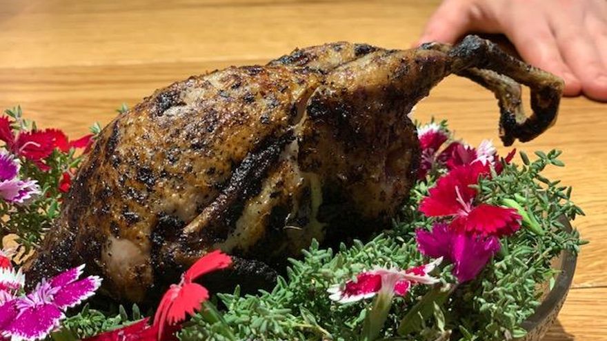 Codorniz en fase previa.