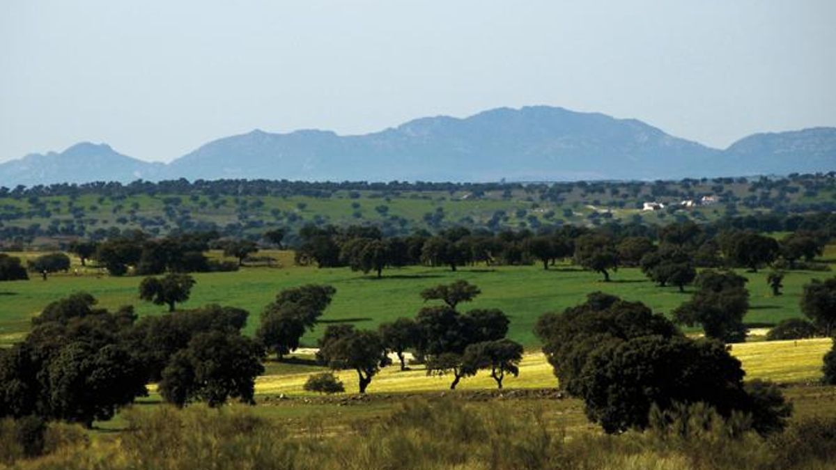 Ruta de los Pedroches