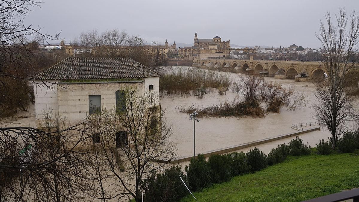 El río Guadalquivir ha superado el umbral naranja a su paso por Córdoba