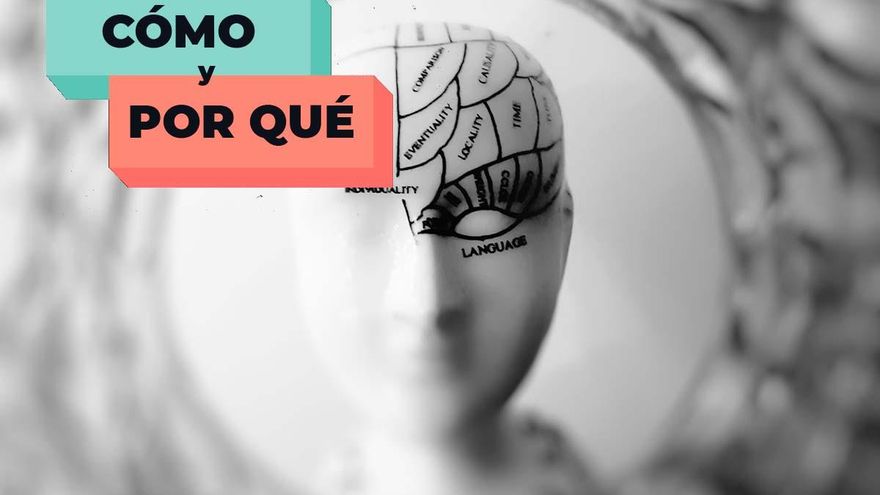 Cómo puedes usar el 100% de tu cerebro