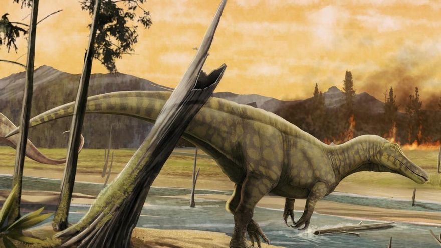 Dientes de espinosáuridos hallados en Teruel revelan la presencia de dos grupos diferentes de estos dinosaurios carnívoros