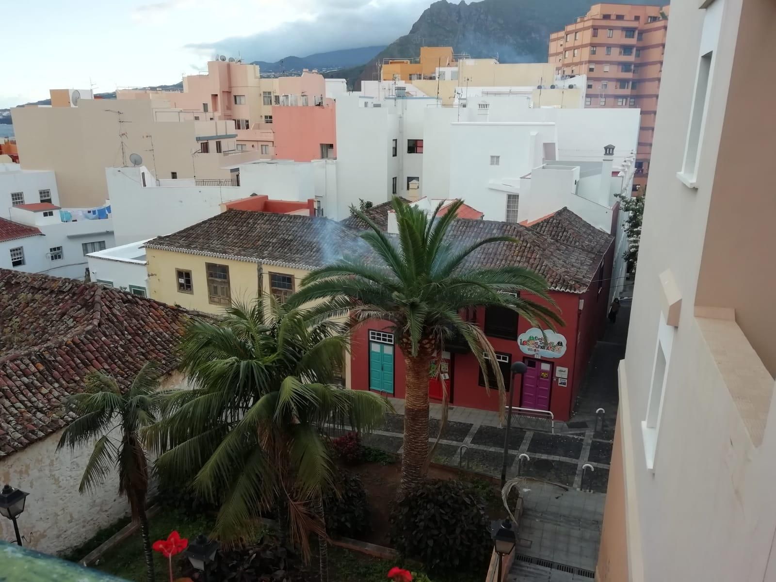 En la imagen, humo en la palmera afectada por el conato.