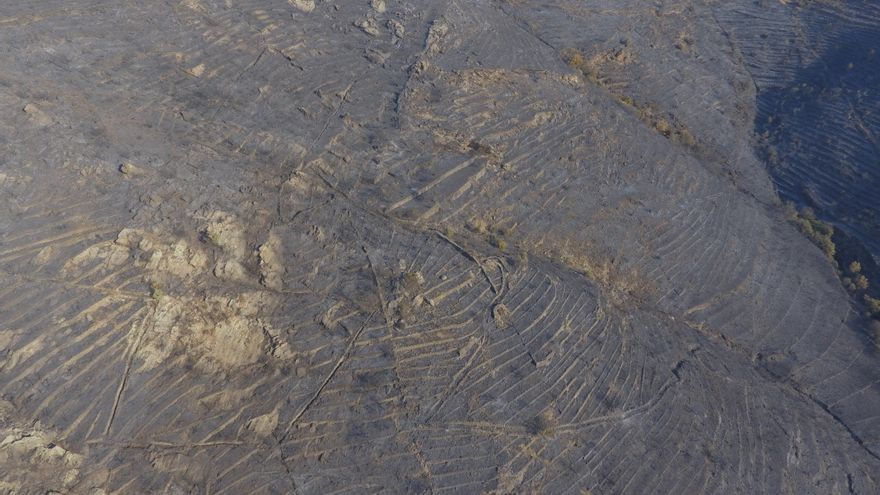 Así ha quedado la reserva natural del Cap de Creus después del incendio que quemó 415 hectáreas