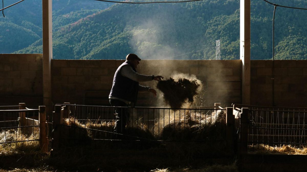 Trabajos en la granja