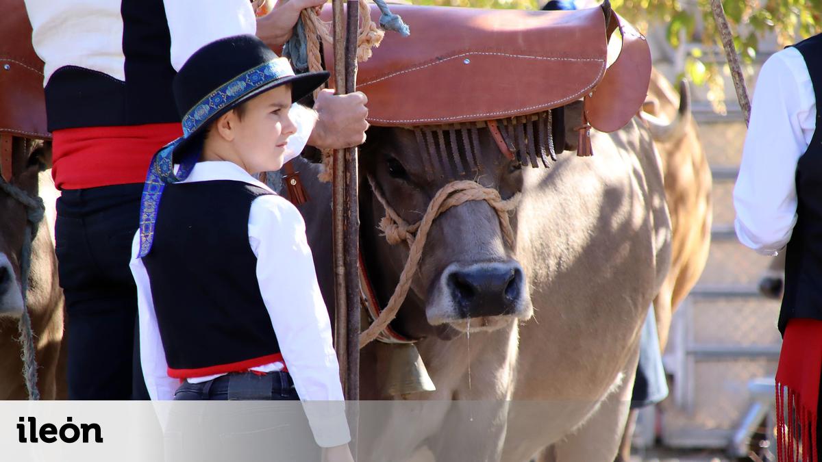 Estas son las fiestas que se celebran durante el año 2025 en los ...