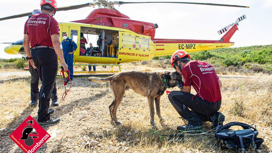 Adiós a Titán, el perro de los bomberos de Alicante que rescataba a personas y que ayudó hasta en terremotos