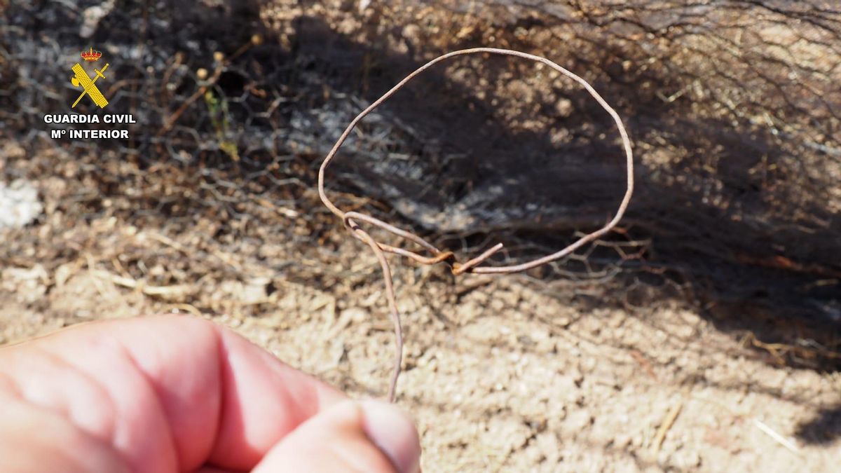 Sorprendido en la Sierra de Montánchez cuando manipulaba lazos de caza ilegales que amenazaban a la fauna protegida