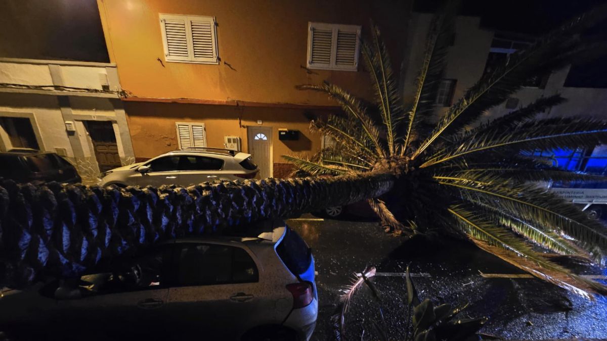 Cierre de carreteras y caídas de árboles en Gran Canaria: Emilia provoca más de un centenar de incidencias en la noche