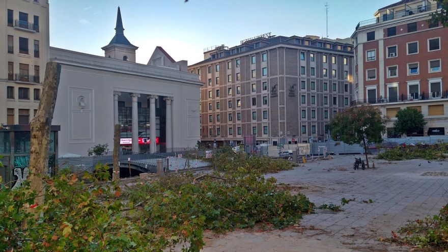 Vista de la plaza del Carmen con los árboles talados