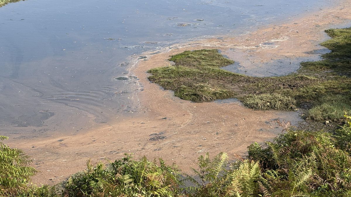 La ría San Martín: de un humedal "chocolate negro" al  "alto valor" de un estuario sin protección jurídica