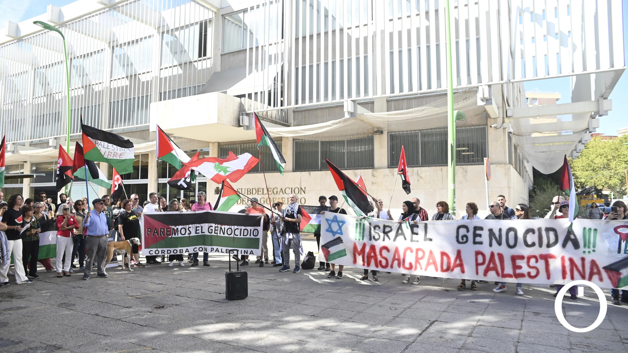 Manifestación por Palestina en la Subdelegación de Gobierno