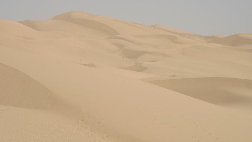 Las dunas de California retroceden a gran velocidad y la pérdida deja ecosistemas en una situación vulnerable