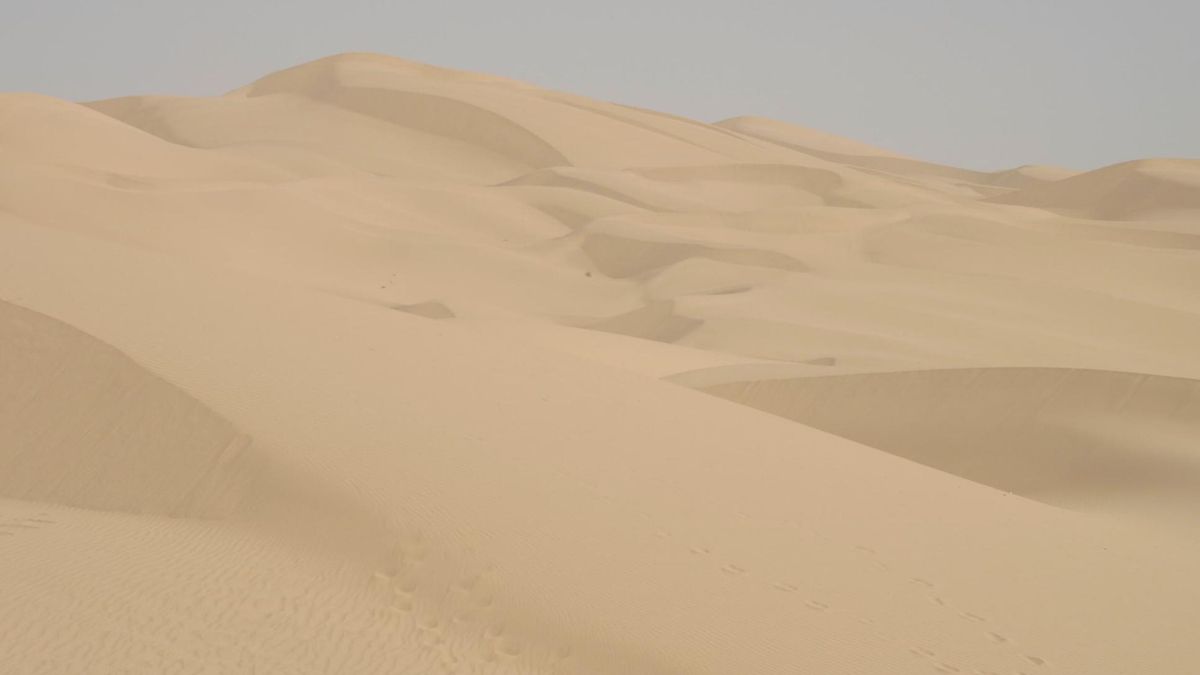 Las dunas de California retroceden a gran velocidad y la pérdida deja ecosistemas en una situación vulnerable