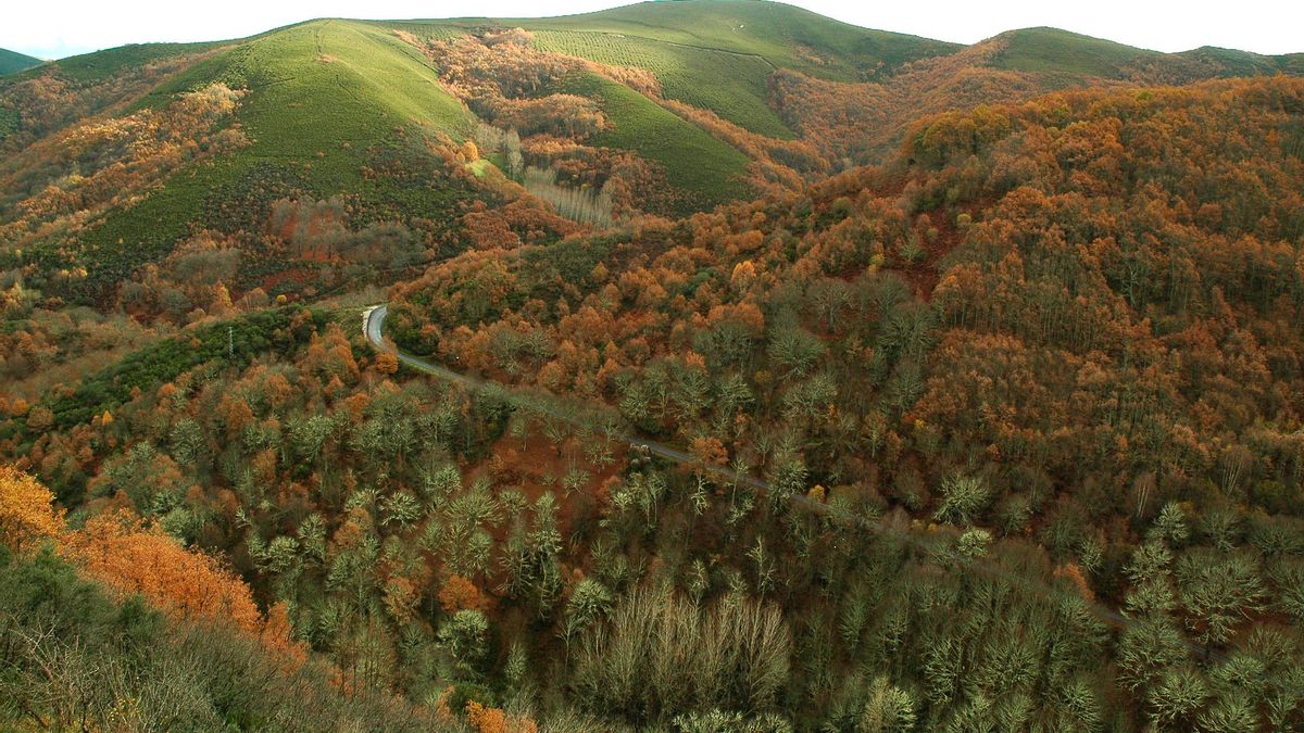 El Bierzo se suma al proyecto nacional para resaltar un turismo basado en las experiencias agrarias